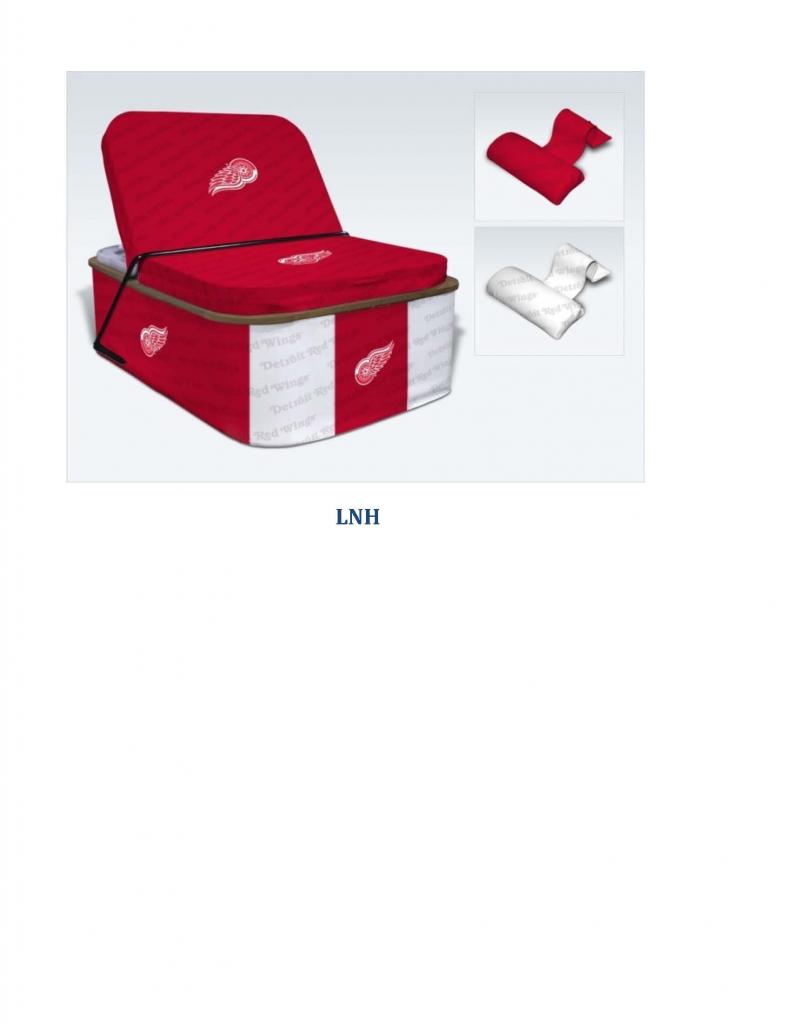 LNH  5''x 4'' Prix 865,00$